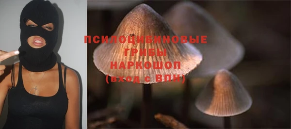 дмт Горно-Алтайск