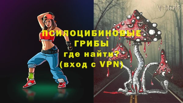 мдпв Горняк