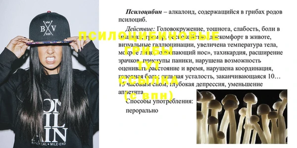 герыч Горнозаводск