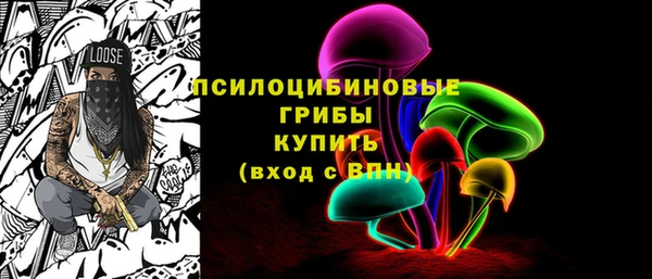 мдпв Горняк
