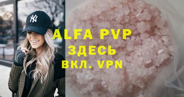 спайс Кирсанов