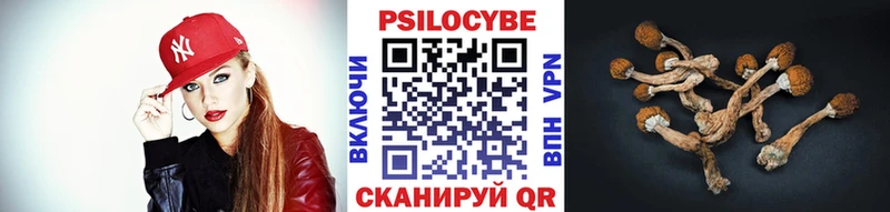 купить наркоту  Николаевск-на-Амуре  Псилоцибиновые грибы GOLDEN TEACHER 